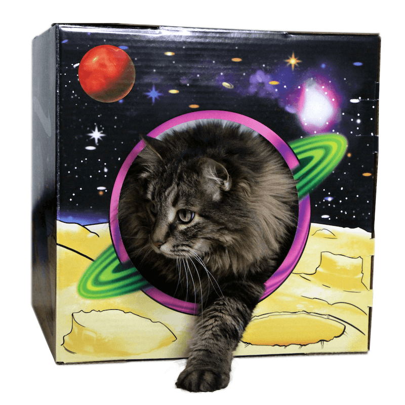 MEOW-TER SPACE 2.0