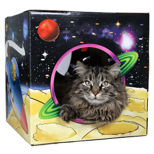 MEOW-TER SPACE 2.0
