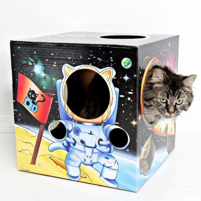 MEOW-TER SPACE 2.0