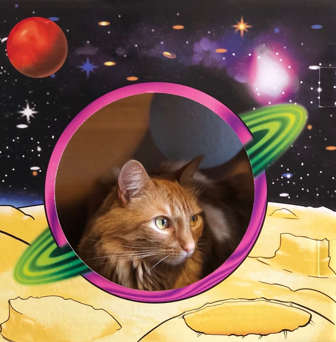 MEOW-TER SPACE 2.0