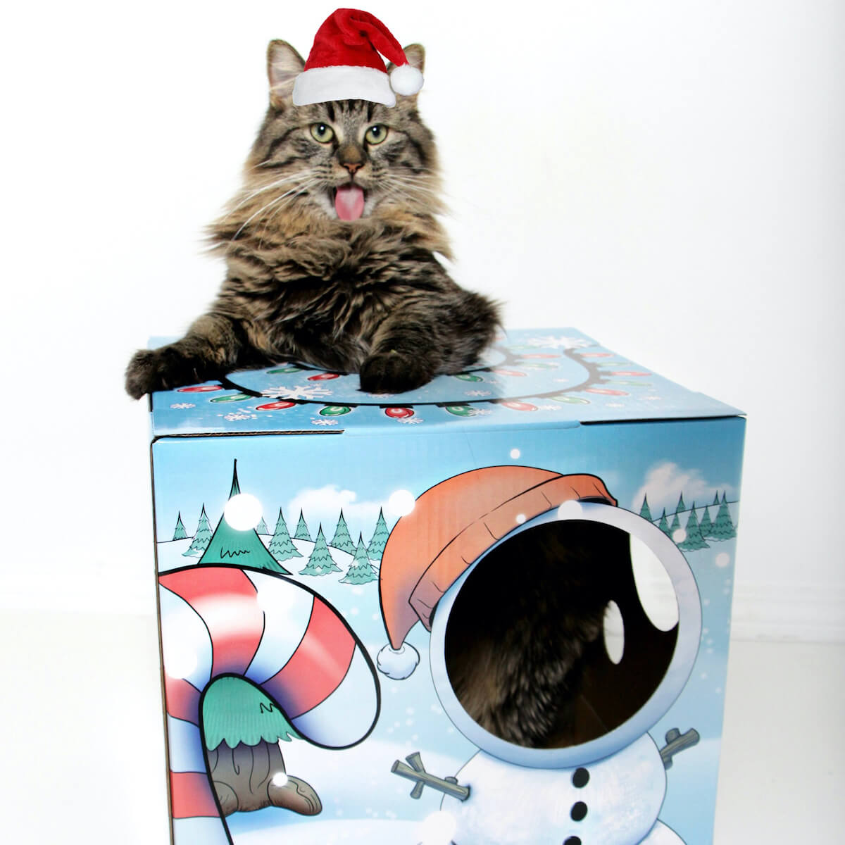 Kitty Cardboard Designer Boxes
