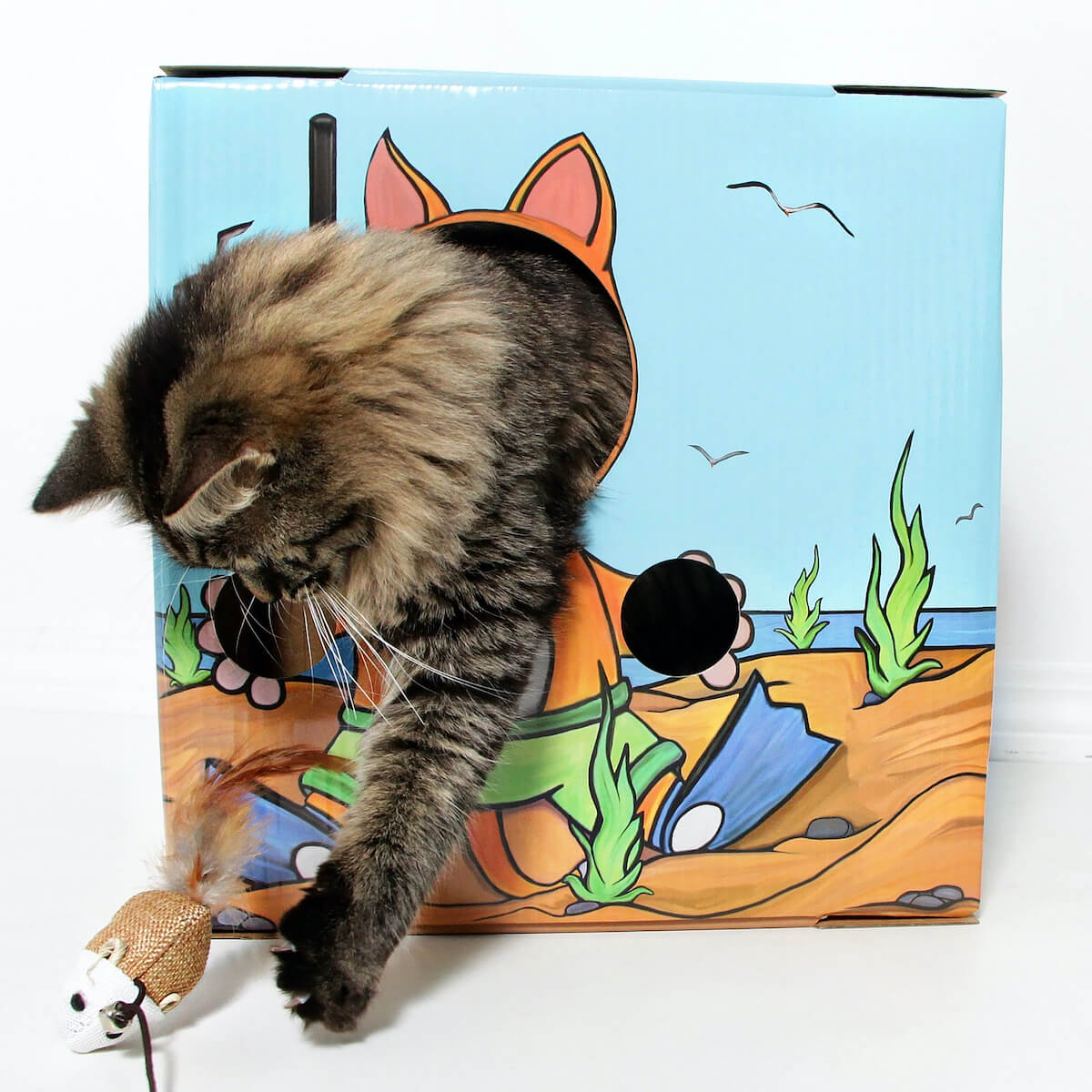 Kitty Cardboard Designer Boxes