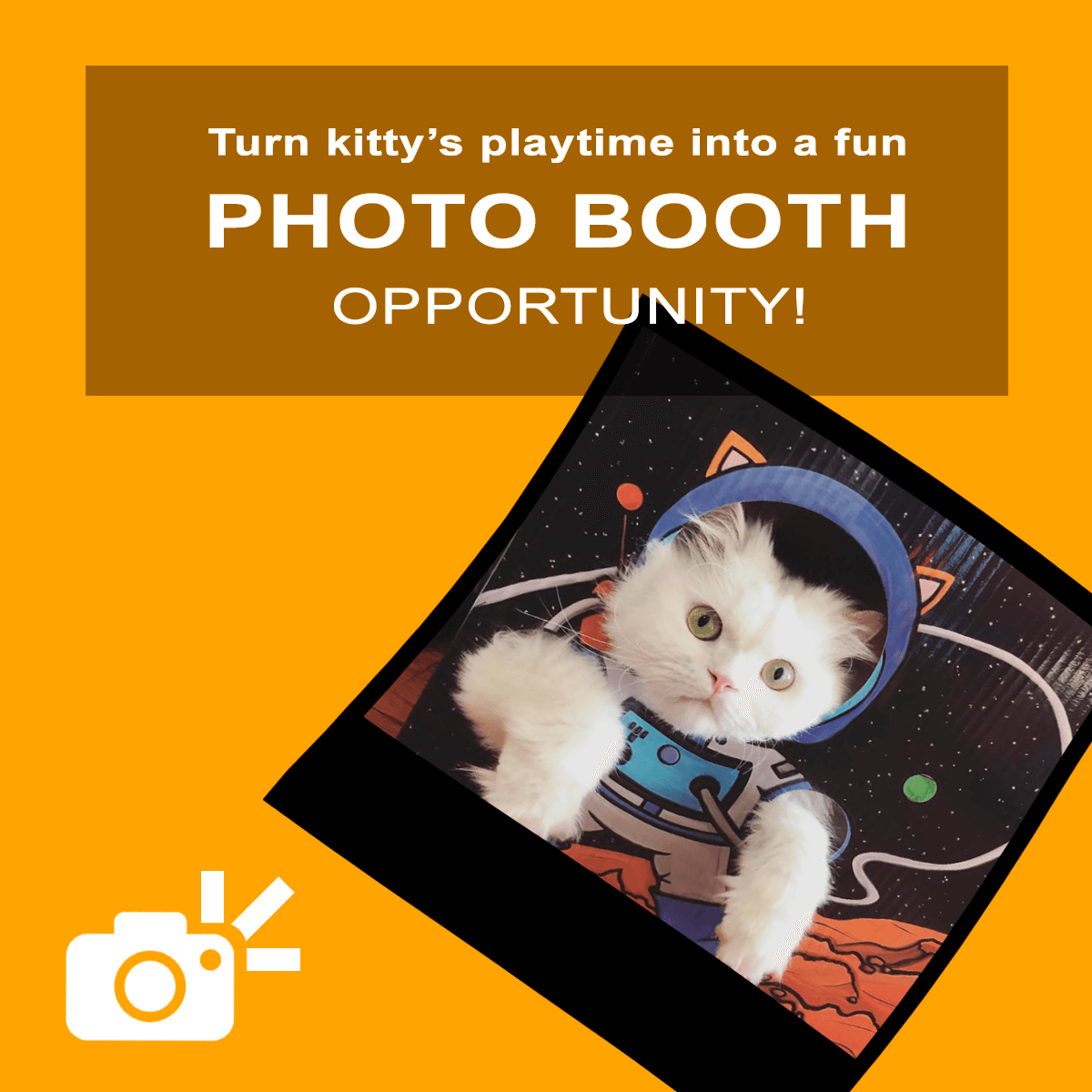 Kitty Cardboard Designer Boxes