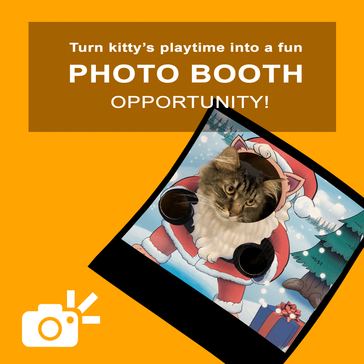 Kitty Cardboard Designer Boxes