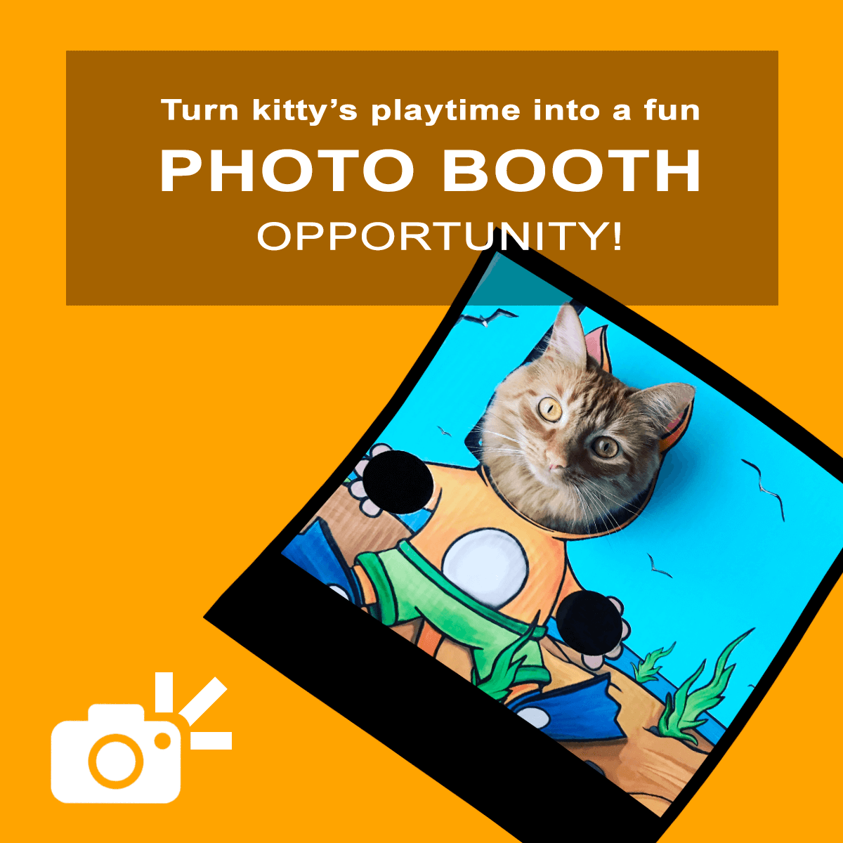 Kitty Cardboard Designer Boxes