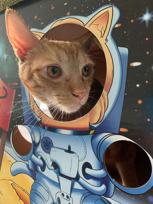 MEOW-TER SPACE 2.0