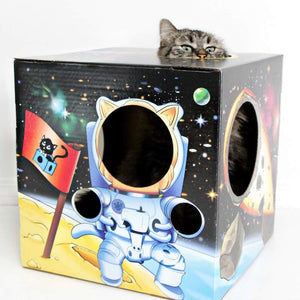 MEOW-TER SPACE 2.0