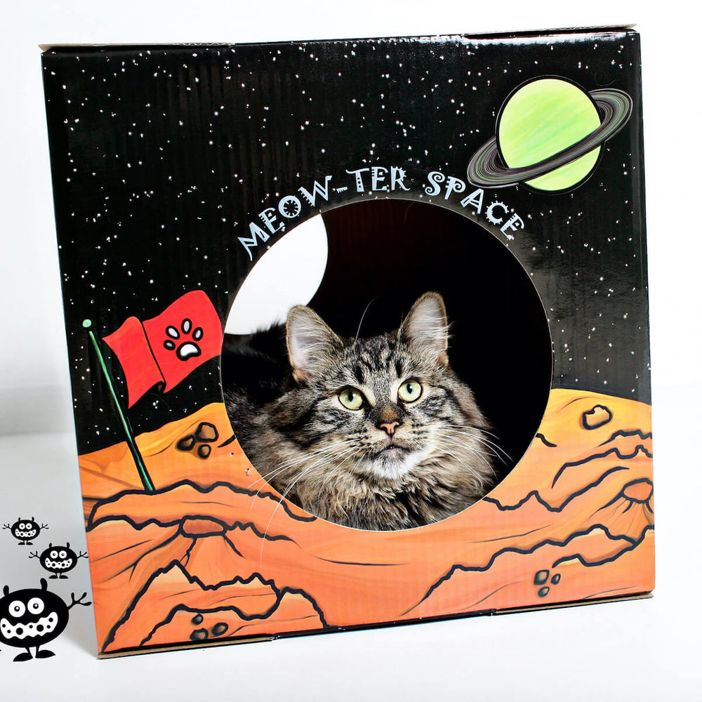 Designer Cardboard Boxes/Playhouses for Cats