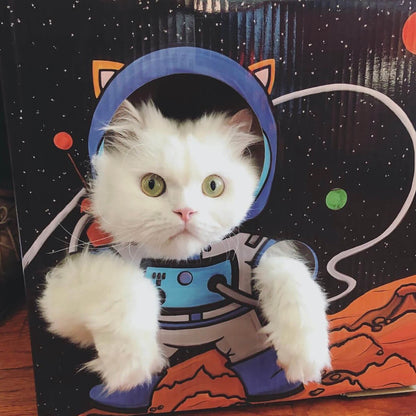 MEOW-TER SPACE